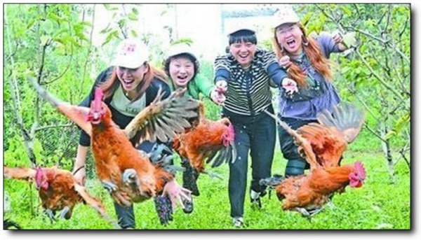溪源村森林人家_建陽(yáng)溪源村森林人家_溪源村森林人家