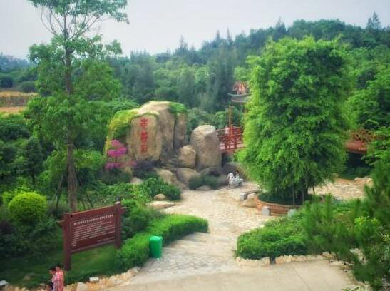 忠義石_美翻了！翔安這香山50畝花海綻放，小伙伴們約起來(lái)！