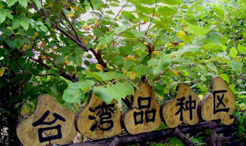 美格農(nóng)藝農(nóng)家樂 (1)_美格農(nóng)藝農(nóng)家樂