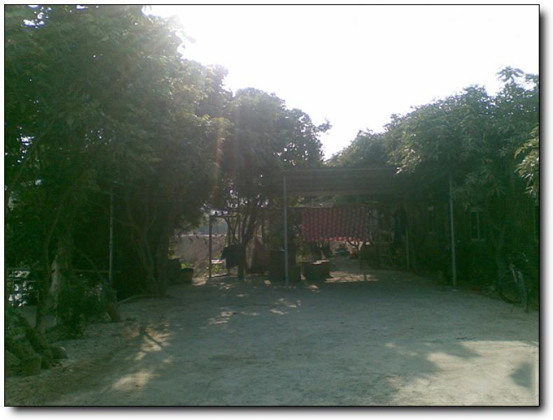 閩泰園農(nóng)莊 (5)_閩泰園農(nóng)莊