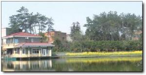 友邦山莊 (3)_友邦山莊
