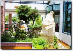 泉港紅星生態園 (4)_泉港紅星生態園