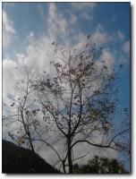 永春海峽藍天生態(tài)莊園 (6)_永春海峽藍天生態(tài)莊園
