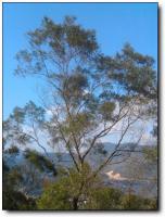 永春海峽藍天生態(tài)莊園 (5)_永春海峽藍天生態(tài)莊園