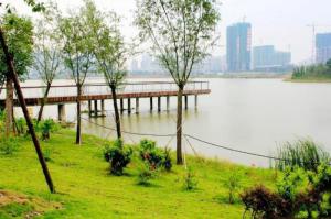 龍文碧湖生態園 (6)_龍文碧湖生態園