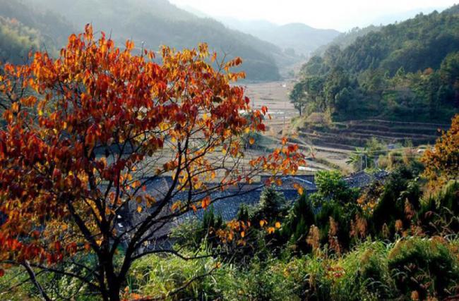 羅源禾山風(fēng)景區(qū) (3)_羅源禾山風(fēng)景區(qū)