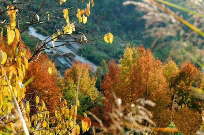 羅源禾山風(fēng)景區(qū) (4)_羅源禾山風(fēng)景區(qū)