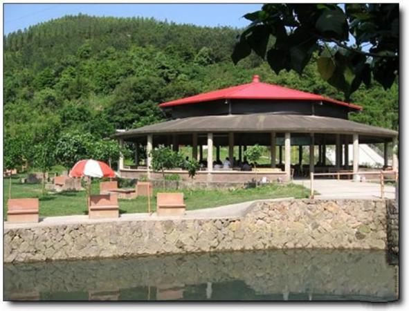 閩清豐達(dá)生態(tài)園 (4)_閩清豐達(dá)生態(tài)園