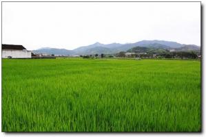 上杭古田會議會址 (1)_上杭古田會議會址