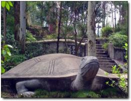 永安龜山公園 (6)_永安龜山公園