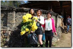 尤溪中仙龍門場(chǎng)古銀杏群 (3)_尤溪中仙龍門場(chǎng)古銀杏群