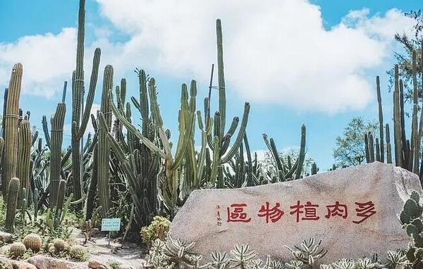 沙生植物區