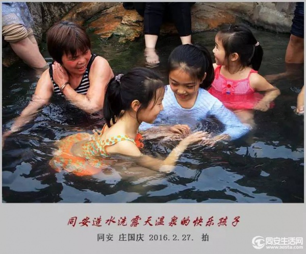 同安造水櫻花又開了！櫻花、梨花一起來！