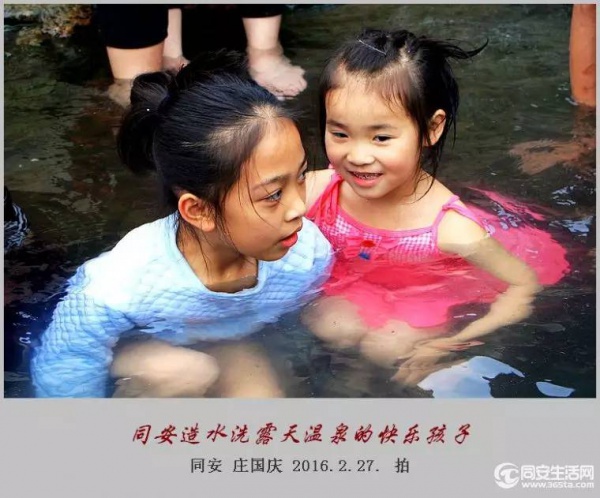 同安造水櫻花又開了！櫻花、梨花一起來！