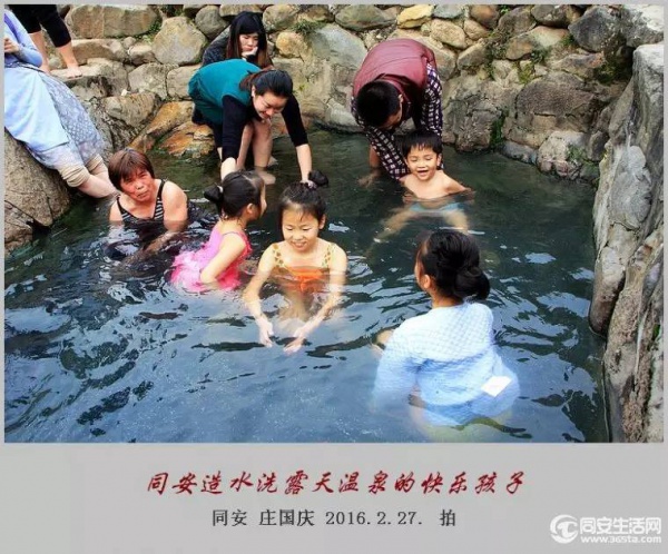 同安造水櫻花又開了！櫻花、梨花一起來！
