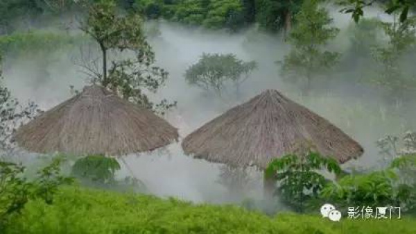 就在海滄，此地四季花海、云霧繚繞，宛如仙境！你去過(guò)嗎？