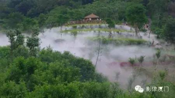 就在海滄，此地四季花海、云霧繚繞，宛如仙境！你去過(guò)嗎？