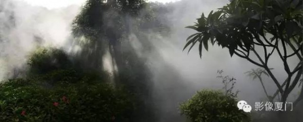 就在海滄，此地四季花海、云霧繚繞，宛如仙境！你去過(guò)嗎？