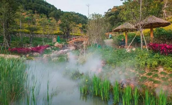 就在海滄，此地四季花海、云霧繚繞，宛如仙境！你去過(guò)嗎？