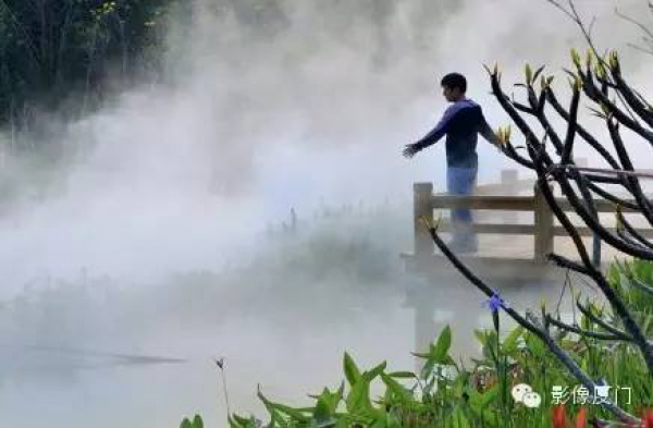 就在海滄，此地四季花海、云霧繚繞，宛如仙境！你去過(guò)嗎？
