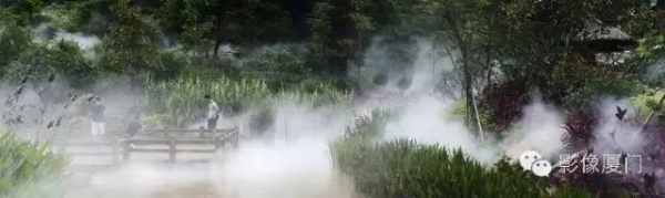 就在海滄，此地四季花海、云霧繚繞，宛如仙境！你去過(guò)嗎？
