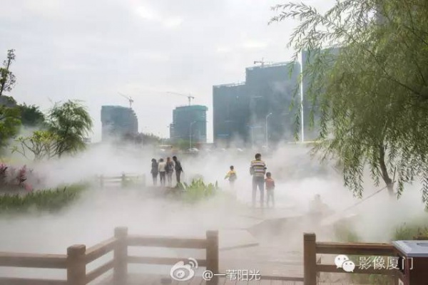 就在海滄，此地四季花海、云霧繚繞，宛如仙境！你去過(guò)嗎？