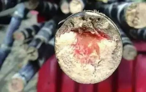 集美人注意！最近千萬(wàn)別吃它，比毒蛇還毒！目前尚無(wú)特殊療法！