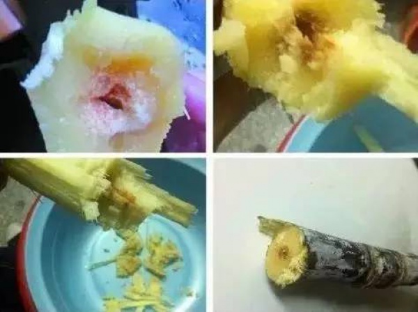 集美人注意！最近千萬(wàn)別吃它，比毒蛇還毒！目前尚無(wú)特殊療法！