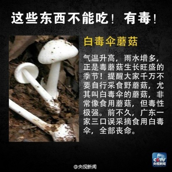 集美人注意！最近千萬(wàn)別吃它，比毒蛇還毒！目前尚無(wú)特殊療法！