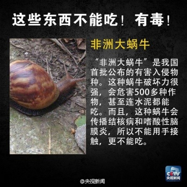 集美人注意！最近千萬(wàn)別吃它，比毒蛇還毒！目前尚無(wú)特殊療法！