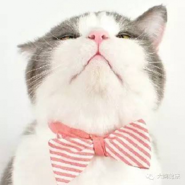 空心草莓都是用激素催熟的嗎？這幾種草莓不能買！
