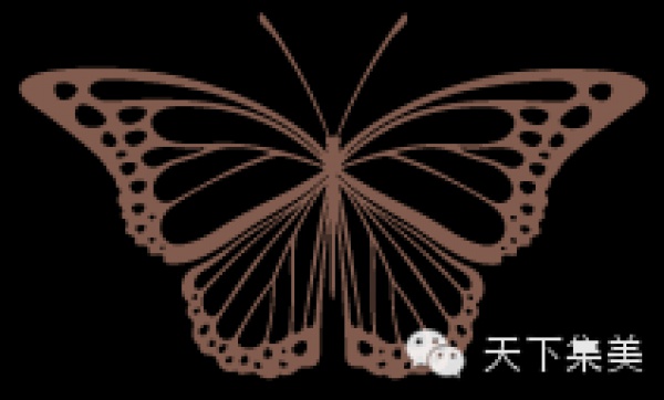 集美版“瘋狂動物城”來啦保證萌翻你！