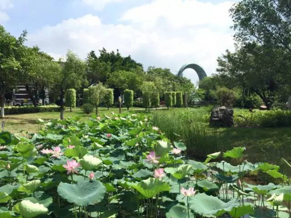 好玩集美丨園博苑新亮點(diǎn),暑期大家Hi起來(lái)！