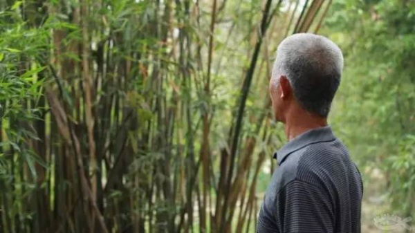 活著已是奇跡所以他堅(jiān)持做灌口好人……
