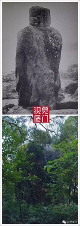 清代廈門著名景觀“和尚石”終于被發(fā)現(xiàn)，竟然藏身鴻山公園雜樹從中