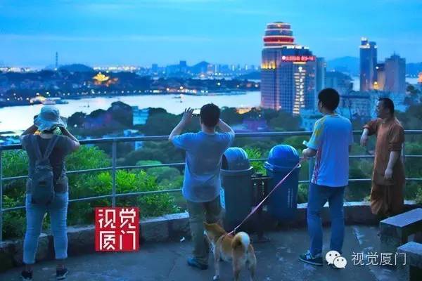 清代廈門著名景觀“和尚石”終于被發(fā)現(xiàn)，竟然藏身鴻山公園雜樹從中