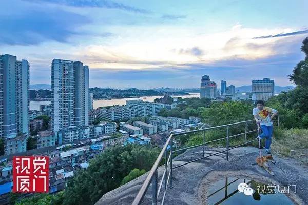 清代廈門著名景觀“和尚石”終于被發(fā)現(xiàn)，竟然藏身鴻山公園雜樹從中