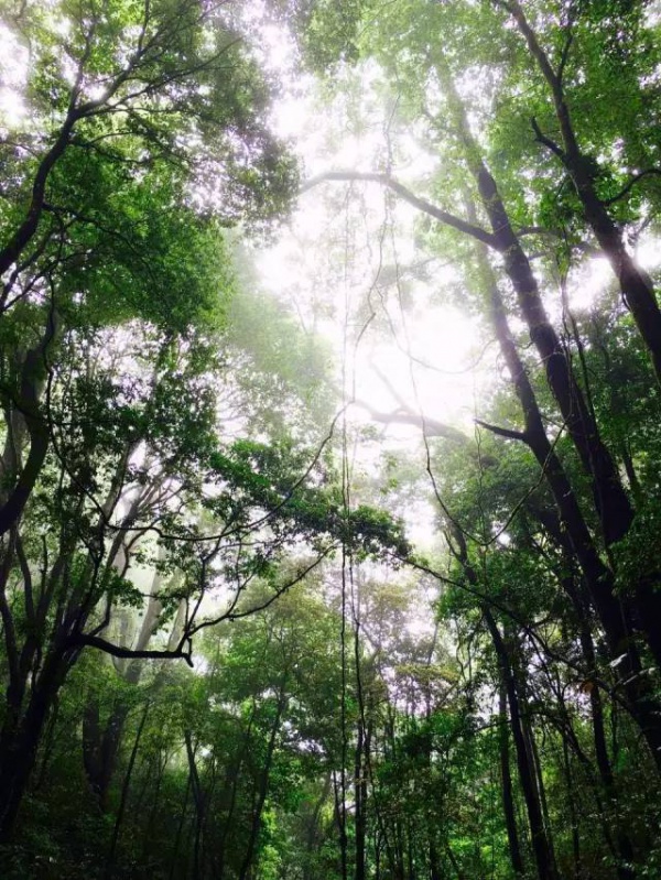 6月18、19日享四重福利，贏大獎—龍巖九溪廬漂流一日游等你來奪冠！（轉發立即減免10元）