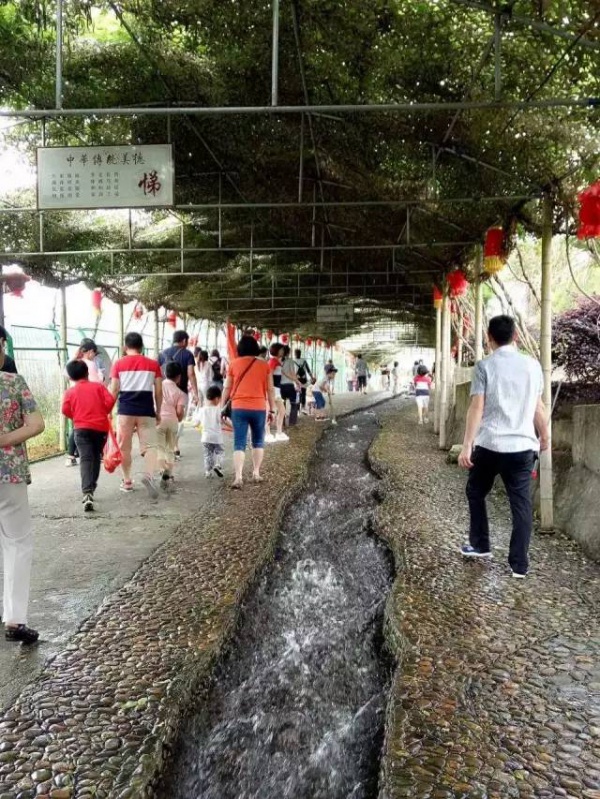 6月18、19日享四重福利，贏大獎—龍巖九溪廬漂流一日游等你來奪冠?。ㄞD發立即減免10元）