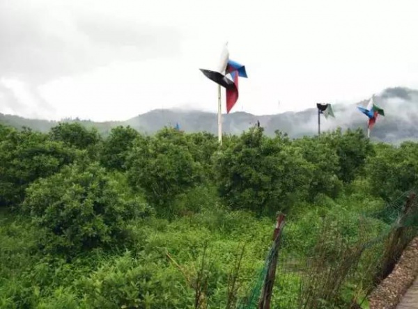 6月18、19日享四重福利，贏大獎—龍巖九溪廬漂流一日游等你來奪冠?。ㄞD發立即減免10元）