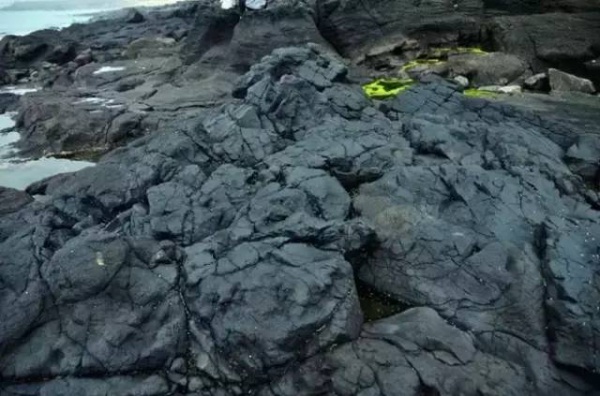 漳州濱海火山島地質文化公園一日游/天天發團