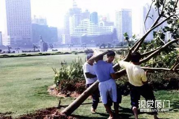廈門史上最強的三次臺風，直接把輪船吹上岸，近千人喪生！