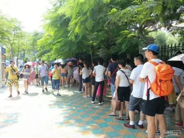 去觀景臺(tái)哭了！廈大周邊居民早已哭暈在沙灘上！