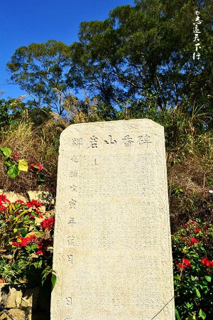 翔安這香山50畝花海綻放
