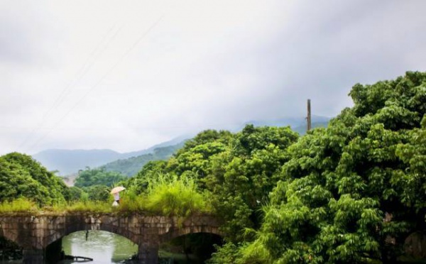 集美周邊游丨這個“明朝荔枝”火了600年，落在這個古鎮！