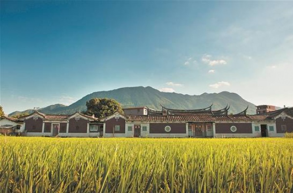集美周邊游丨這個“明朝荔枝”火了600年，落在這個古鎮！