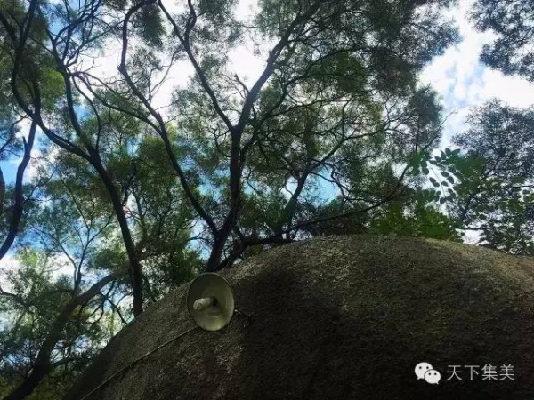 誰說后溪只能學車？多的是你不知道的事！