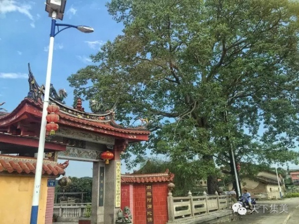 誰說后溪只能學車？多的是你不知道的事！