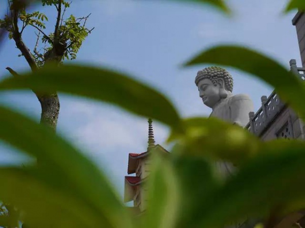 集美周邊游丨普照寺，南太武山下的故土情懷