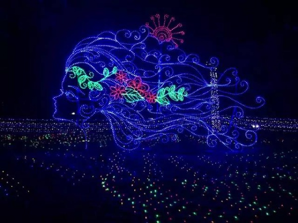 出大事啦！9月9日一9月14日出示信息“女士”免費入場寶生園農場夢幻燈光節